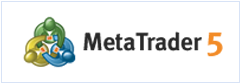 Meta Platform